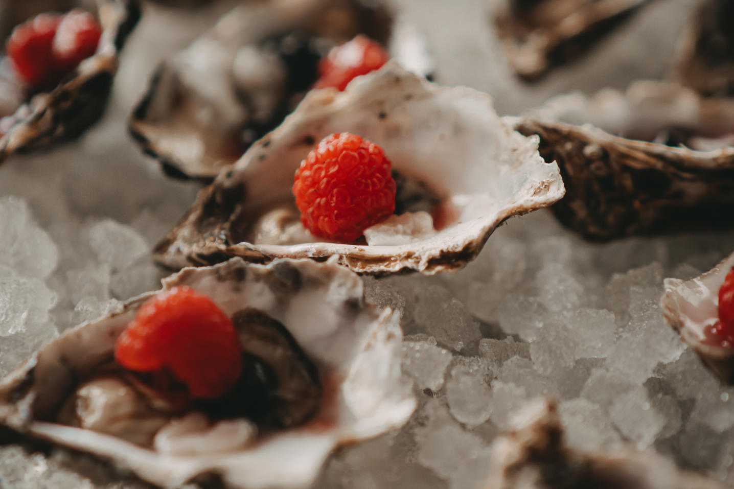 beni_wicki_mood2jpg Beni Wicki - Private Chef - Fine Dining